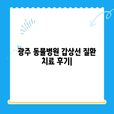 광주 동물병원 갑상선 질환 치료 후기| 반려동물 건강 회복 경험 공유 | 갑상선 기능 저하증, 갑상선 기능 항진증, 동물병원 추천, 치료 과정