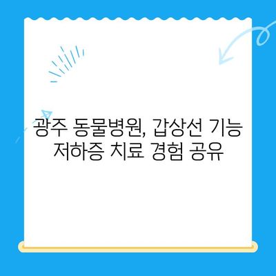 광주 동물병원 갑상선 질환 치료 후기| 반려동물 건강 회복 경험 공유 | 갑상선 기능 저하증, 갑상선 기능 항진증, 동물병원 추천, 치료 과정