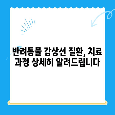 광주 동물병원 갑상선 질환 치료 후기| 반려동물 건강 회복 경험 공유 | 갑상선 기능 저하증, 갑상선 기능 항진증, 동물병원 추천, 치료 과정