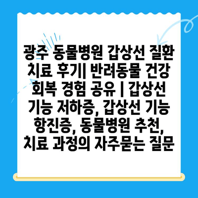 광주 동물병원 갑상선 질환 치료 후기| 반려동물 건강 회복 경험 공유 | 갑상선 기능 저하증, 갑상선 기능 항진증, 동물병원 추천, 치료 과정