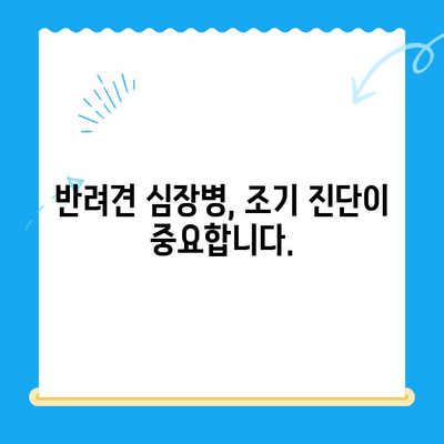 🐶 심장병 위험, 24시간 안전하게! 반려견 심장검사 가능 병원 추천 | 응급, 야간진료, 심장 전문