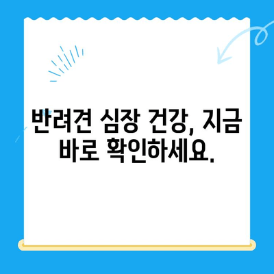🐶 심장병 위험, 24시간 안전하게! 반려견 심장검사 가능 병원 추천 | 응급, 야간진료, 심장 전문