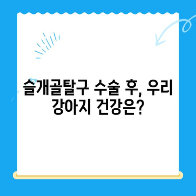 강아지 슬개골탈구 수술| 24시 수동물병원 성공 사례 | 슬개골탈구, 수술 후기, 강아지 건강