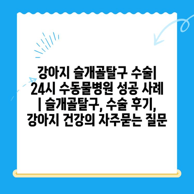 강아지 슬개골탈구 수술| 24시 수동물병원 성공 사례 | 슬개골탈구, 수술 후기, 강아지 건강