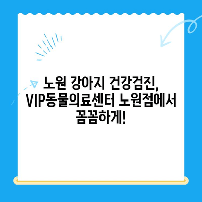 노원 강아지 건강검진, VIP동물의료센터 노원점 추천 | 24시 동물병원, 초음파 검사, 건강 상담