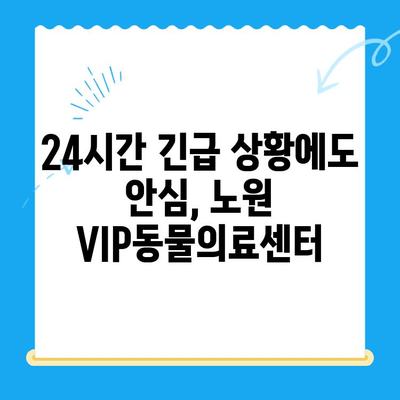 노원 강아지 건강검진, VIP동물의료센터 노원점 추천 | 24시 동물병원, 초음파 검사, 건강 상담