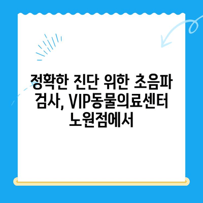 노원 강아지 건강검진, VIP동물의료센터 노원점 추천 | 24시 동물병원, 초음파 검사, 건강 상담