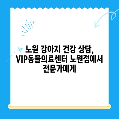 노원 강아지 건강검진, VIP동물의료센터 노원점 추천 | 24시 동물병원, 초음파 검사, 건강 상담