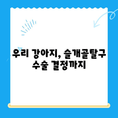 강아지 슬개골탈구 수술 후기| 24시간 수동물병원 | 슬개골탈구 수술 경험 공유, 회복 과정, 수동물병원 후기