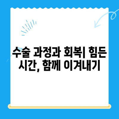 강아지 슬개골탈구 수술 후기| 24시간 수동물병원 | 슬개골탈구 수술 경험 공유, 회복 과정, 수동물병원 후기