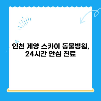 인천 계양 스카이 동물병원 수술 후기| 24시간 운영, 믿음직한 진료 경험 공유 | 반려동물, 수술, 응급진료, 동물병원 추천