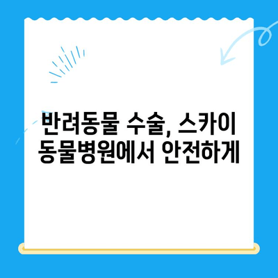 인천 계양 스카이 동물병원 수술 후기| 24시간 운영, 믿음직한 진료 경험 공유 | 반려동물, 수술, 응급진료, 동물병원 추천