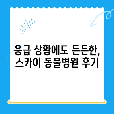 인천 계양 스카이 동물병원 수술 후기| 24시간 운영, 믿음직한 진료 경험 공유 | 반려동물, 수술, 응급진료, 동물병원 추천