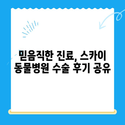 인천 계양 스카이 동물병원 수술 후기| 24시간 운영, 믿음직한 진료 경험 공유 | 반려동물, 수술, 응급진료, 동물병원 추천