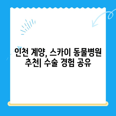 인천 계양 스카이 동물병원 수술 후기| 24시간 운영, 믿음직한 진료 경험 공유 | 반려동물, 수술, 응급진료, 동물병원 추천