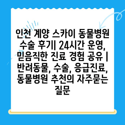 인천 계양 스카이 동물병원 수술 후기| 24시간 운영, 믿음직한 진료 경험 공유 | 반려동물, 수술, 응급진료, 동물병원 추천