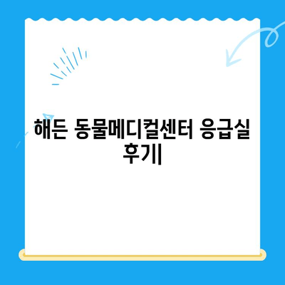 해든 동물메디컬센터 응급실 후기| 부천 24시 동물병원에서 겪은 경험 공유 | 부천 동물병원, 응급 진료, 24시 운영, 동물병원 후기