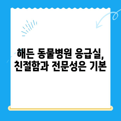 해든 동물메디컬센터 응급실 후기| 부천 24시 동물병원에서 겪은 경험 공유 | 부천 동물병원, 응급 진료, 24시 운영, 동물병원 후기