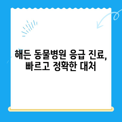 해든 동물메디컬센터 응급실 후기| 부천 24시 동물병원에서 겪은 경험 공유 | 부천 동물병원, 응급 진료, 24시 운영, 동물병원 후기