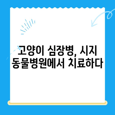 고양이 심장병 진료 후기| 시지 동물병원 (시지 24시 동물병원) | 고양이 심장병, 시지 동물병원 후기, 24시 동물병원