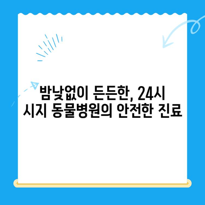 고양이 심장병 진료 후기| 시지 동물병원 (시지 24시 동물병원) | 고양이 심장병, 시지 동물병원 후기, 24시 동물병원