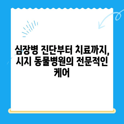 고양이 심장병 진료 후기| 시지 동물병원 (시지 24시 동물병원) | 고양이 심장병, 시지 동물병원 후기, 24시 동물병원