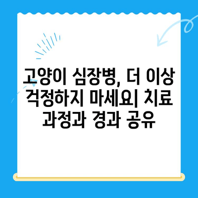 고양이 심장병 진료 후기| 시지 동물병원 (시지 24시 동물병원) | 고양이 심장병, 시지 동물병원 후기, 24시 동물병원