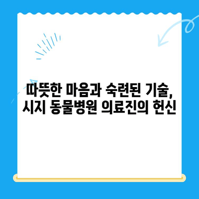 고양이 심장병 진료 후기| 시지 동물병원 (시지 24시 동물병원) | 고양이 심장병, 시지 동물병원 후기, 24시 동물병원