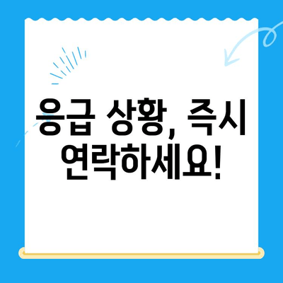 안산 포유동물메디컬센터 갑기저 응급실 대기 시간 안내 | 응급 진료, 대기 시간 정보, 연락처