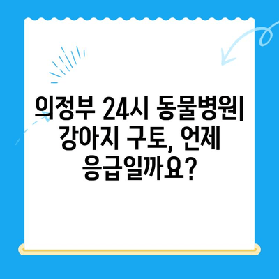 의정부 24시 동물병원| 강아지 구토 치료 & MRI 검사 비용 안내 | 응급 진료, 24시간, 구토 원인, 치료 과정, 비용 정보