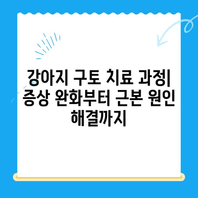 의정부 24시 동물병원| 강아지 구토 치료 & MRI 검사 비용 안내 | 응급 진료, 24시간, 구토 원인, 치료 과정, 비용 정보