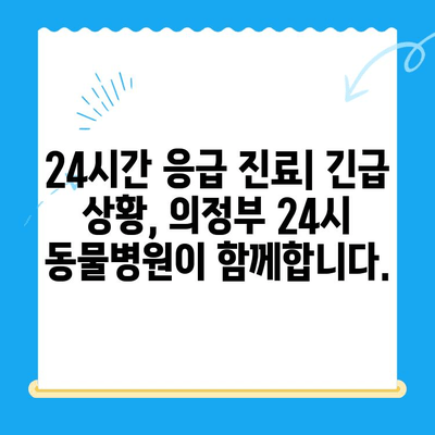 의정부 24시 동물병원| 강아지 구토 치료 & MRI 검사 비용 안내 | 응급 진료, 24시간, 구토 원인, 치료 과정, 비용 정보