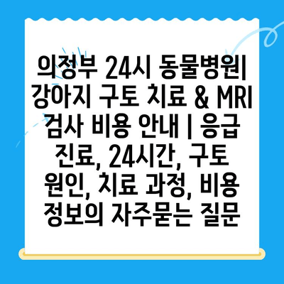 의정부 24시 동물병원| 강아지 구토 치료 & MRI 검사 비용 안내 | 응급 진료, 24시간, 구토 원인, 치료 과정, 비용 정보