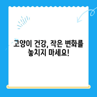 폴 동물병원에서 알아야 할 고양이 건강검진 5가지 이유 | 고양이 건강, 예방 접종, 건강 관리, 폴 동물병원