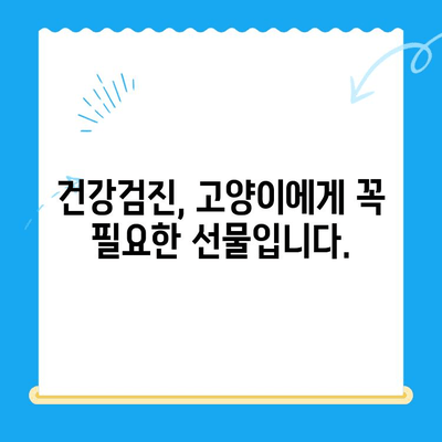 폴 동물병원에서 알아야 할 고양이 건강검진 5가지 이유 | 고양이 건강, 예방 접종, 건강 관리, 폴 동물병원