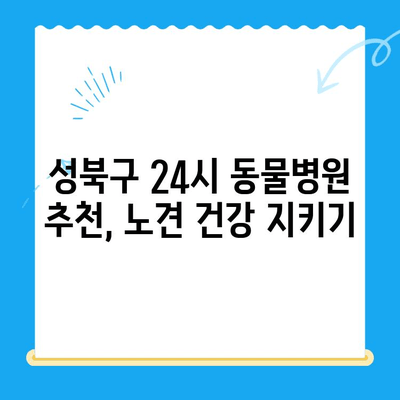 성북구 24시 동물병원 노견 강아지 면역력 검사 리뷰| 🐶 건강 지키는 필수 체크리스트 | 노령견 건강 관리, 면역력 증진, 동물병원 추천