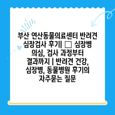 부산 연산동물의료센터 반려견 심장검사 후기| 🐶 심장병 의심, 검사 과정부터 결과까지 | 반려견 건강, 심장병, 동물병원 후기