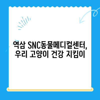 역삼 고양이병원 SNC동물메디컬센터 진료 후기| 솔직한 경험 공유 | 고양이, 동물병원, 진료, 후기, 추천