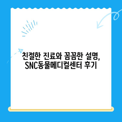 역삼 고양이병원 SNC동물메디컬센터 진료 후기| 솔직한 경험 공유 | 고양이, 동물병원, 진료, 후기, 추천