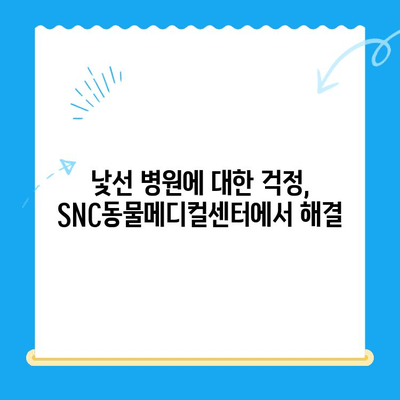 역삼 고양이병원 SNC동물메디컬센터 진료 후기| 솔직한 경험 공유 | 고양이, 동물병원, 진료, 후기, 추천
