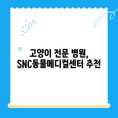 역삼 고양이병원 SNC동물메디컬센터 진료 후기| 솔직한 경험 공유 | 고양이, 동물병원, 진료, 후기, 추천