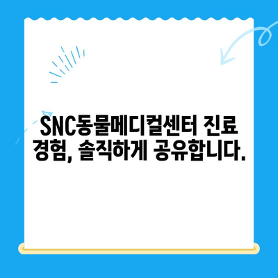 역삼 고양이병원 SNC동물메디컬센터 진료 후기| 솔직한 경험 공유 | 고양이, 동물병원, 진료, 후기, 추천