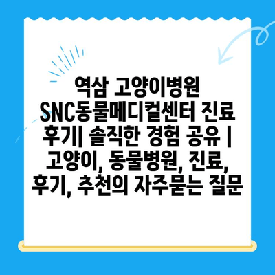 역삼 고양이병원 SNC동물메디컬센터 진료 후기| 솔직한 경험 공유 | 고양이, 동물병원, 진료, 후기, 추천