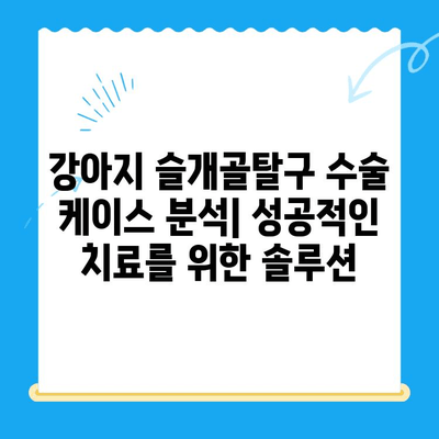 강아지 슬개골탈구 수술 케이스 분석| 성공적인 치료를 위한 솔루션 | 슬개골탈구, 수술 후 관리, 재활