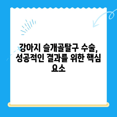 강아지 슬개골탈구 수술 케이스 분석| 성공적인 치료를 위한 솔루션 | 슬개골탈구, 수술 후 관리, 재활
