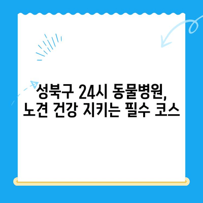 노견 면역력 검사 후기| 성북구 24시 동물병원에서 경험한 이야기 | 노견 건강, 면역력 강화, 24시 동물병원