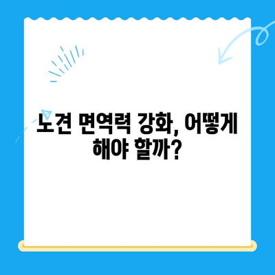 노견 면역력 검사 후기| 성북구 24시 동물병원에서 경험한 이야기 | 노견 건강, 면역력 강화, 24시 동물병원