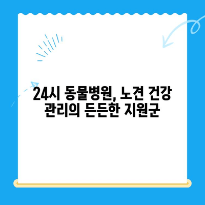 노견 면역력 검사 후기| 성북구 24시 동물병원에서 경험한 이야기 | 노견 건강, 면역력 강화, 24시 동물병원