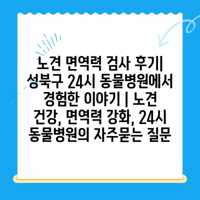 노견 면역력 검사 후기| 성북구 24시 동물병원에서 경험한 이야기 | 노견 건강, 면역력 강화, 24시 동물병원