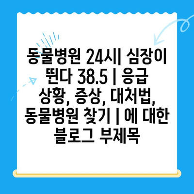 동물병원 24시| 심장이 뛴다 38.5 | 응급 상황, 증상, 대처법, 동물병원 찾기 |